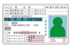 Japanese licence
