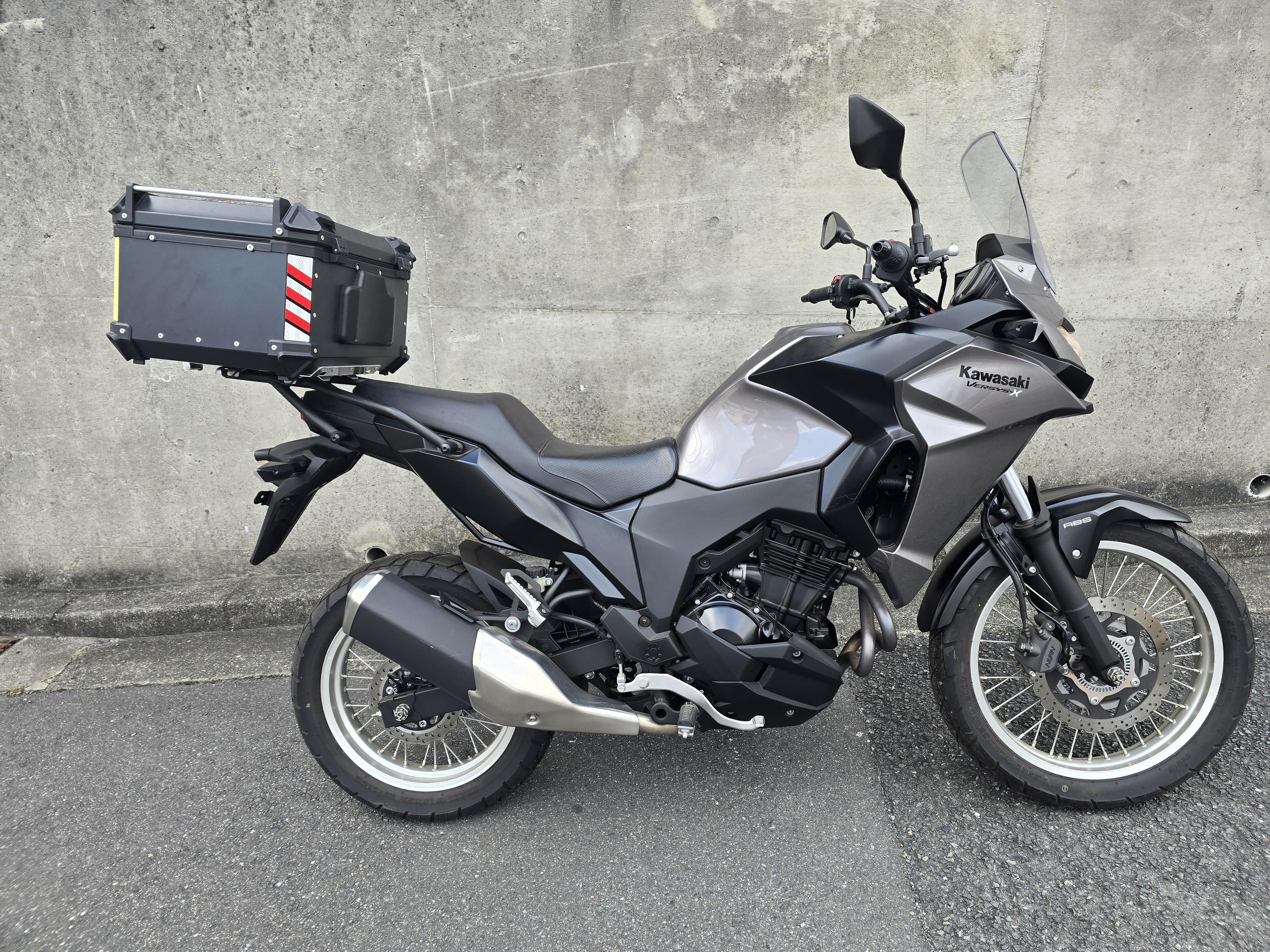 Kawasaki Versys250 #2