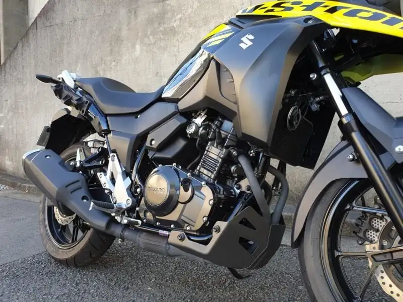Suzuki Vstrom 250 #2
