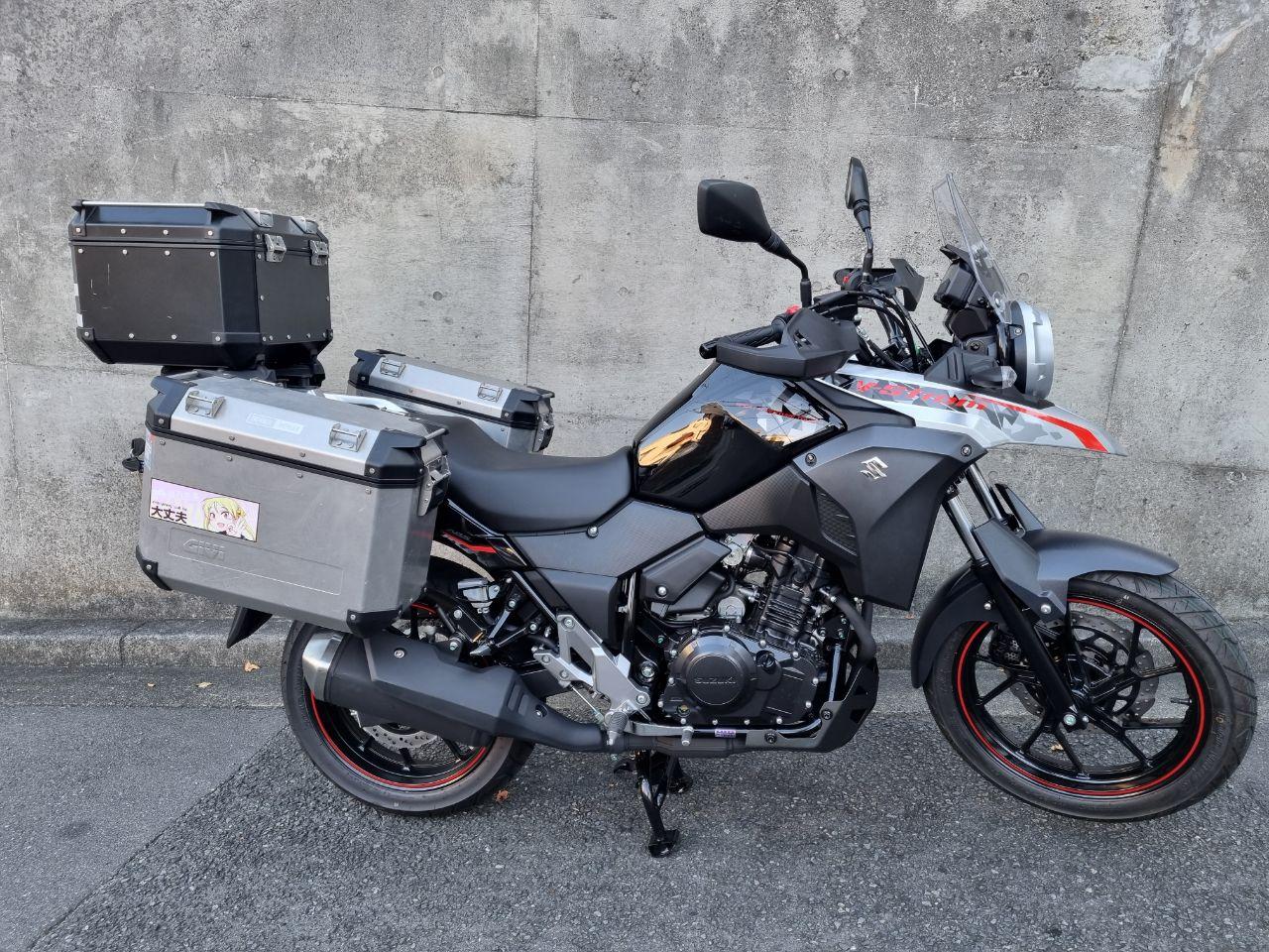 Suzuki Vstrom 250 #3